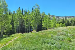 464 N Hwy 143, Cedar City, UT 84720 - Photo 26