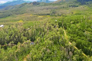 1697 W Marmot Ln, Midway, UT 84049 - Photo 14