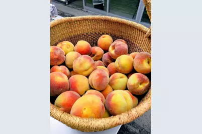 463 E Kensington Ave S, Salt Lake City, UT 84106 - Photo 8