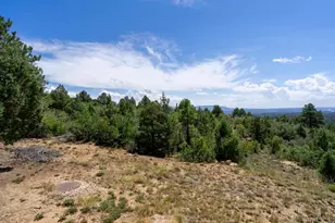 2450 E Oak Tree Dr, Virgin, UT 84779 - Photo 42