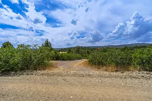2450 E Oak Tree Dr, Virgin, UT 84779 - Photo 60