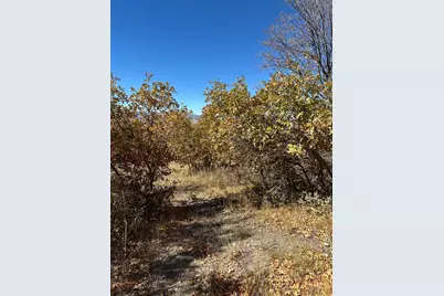 22949 N 13755 E #93, Fairview, UT 84629 - Photo 8