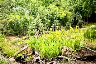 6265 E Emigration Canyon Rd N, Emigration Canyon, UT 84108 - Photo 78