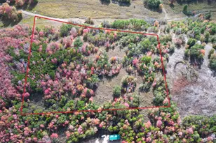 [Address not provided], Fairview, UT 84629 - Photo 1