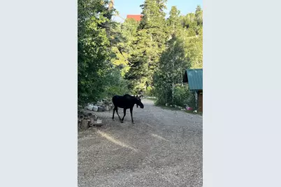 23270 N Main Rd. E #G-5, Fairview, UT 84629 - Photo 26