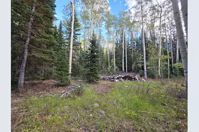 214 E Deer Trail Rd #147, Brian Head, UT 84719 - Photo 1