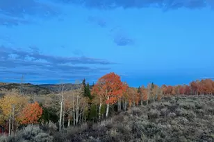 1663 Lancer Ln, Kamas, UT 84036 - Photo 48