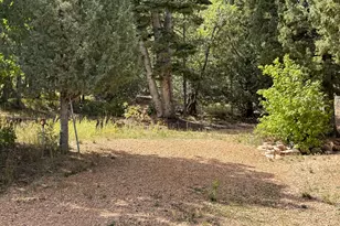 0, Fountain Green, UT 84632 - Photo 14