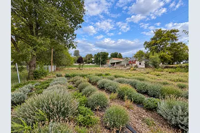 698 W 3800 S, Bountiful, UT 84010 - Photo 28
