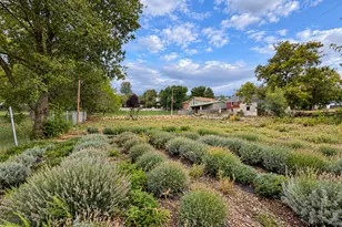 698 W 3800 S, Bountiful, UT 84010 - Photo 28