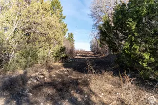 40095 W Tabby Heights, Tabiona, UT 84072 - Photo 4