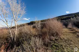 40095 W Tabby Heights, Tabiona, UT 84072 - Photo 32