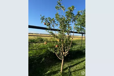 2157 N 22000 W, Talmage, UT 84073 - Photo 34