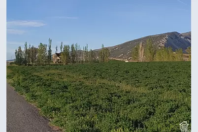 1331 S Lowry Hill Rd, Manti, UT 84642 - Photo 12