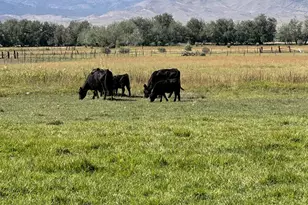 [Address not provided], Goshen, UT 84633 - Photo 1