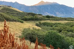 16065 S Timber Brook Dr E, Draper, UT 84020 - Photo 66