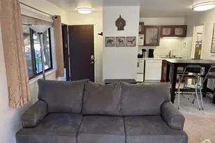 2025 Canyons Resort Dr, Park City, UT 84098 - Photo 8