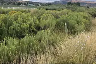 427 N Mdw Ln, Tropic, UT 84776 - Photo 16