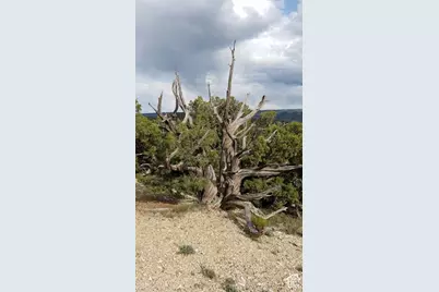 [Address not provided], Fruitland, UT 84027 - Photo 12