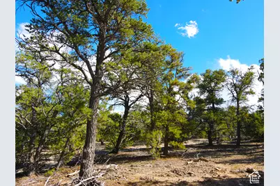 276 W W 5875 Mtn S #276, Duchesne, UT 84021 - Photo 30