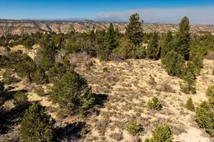[Address not provided], Duchesne, UT 84021 - Photo 1