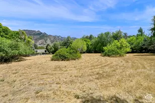 6275 S Oles Ln, Holladay, UT 84121 - Photo 68