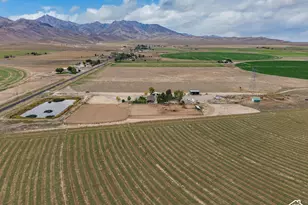 9215 N Hwy 125, Leamington, UT 84638 - Photo 54