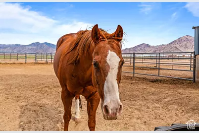 9215 N Hwy 125, Leamington, UT 84638 - Photo 46