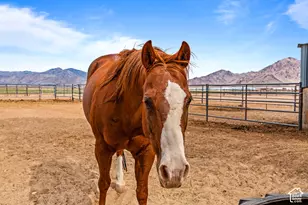 9215 N Hwy 125, Leamington, UT 84638 - Photo 46