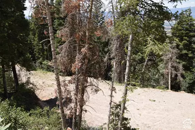 Spring City Rancheros Subdivis #LOT 5, Spring City, UT 84662 - Photo 10