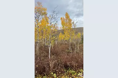 5699 E Targhee Dr #356, Oakley, UT 84055 - Photo 4