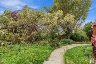 253 N 1150 E, Lindon, UT 84042 - Photo 114