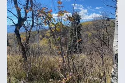 509 W Artist Point Way #53, Coalville, UT 84017 - Photo 4