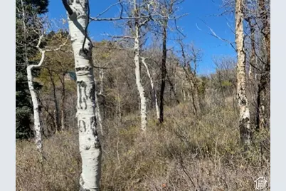 509 W Artist Point Way #53, Coalville, UT 84017 - Photo 20