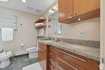 8593 E Albion Basin Rd S, Alta, UT 84092 - Photo 46