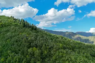 114 Oakwood Dr, Springville, UT 84663 - Photo 1