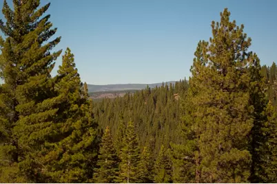 2618 Elsinore Court, Truckee, CA 96161 - Photo 8