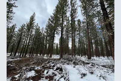 158 Red Sky, Portola, CA 96122 - Photo 20