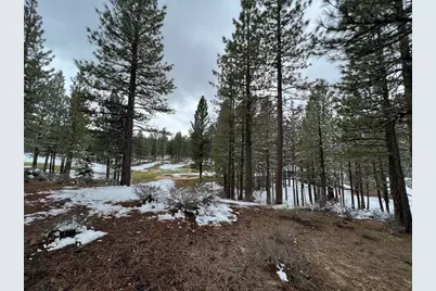 158 Red Sky, Portola, CA 96122 - Photo 16