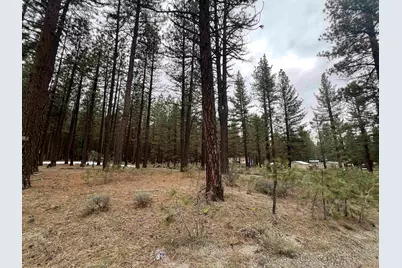 5739 Iron Horse Drive, Portola, CA 96122 - Photo 4