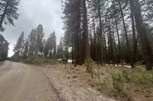 5739 Iron Horse Dr, Portola, CA 96122 - Photo 1