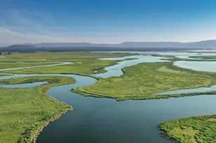 42369 Horr Rd, Fall River Mills, CA 96028 - Photo 8