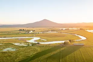 42369 Horr Rd, Fall River Mills, CA 96028 - Photo 6