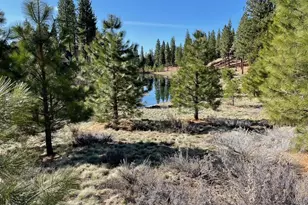 328 Blacktail Ridge, Portola, CA 96122 - Photo 1