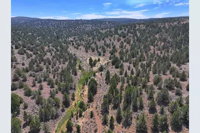 705 200 Highway 395, Termo, CA 96132 - Photo 6