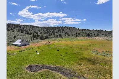 705 200 Highway 395, Termo, CA 96132 - Photo 8