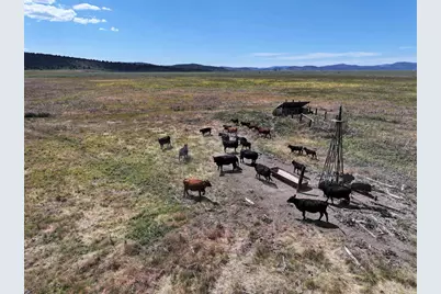 705 200 Highway 395, Termo, CA 96132 - Photo 22