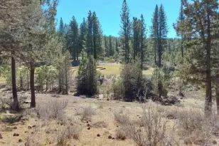 522 Sun Burst, Portola, CA 96122 - Photo 1