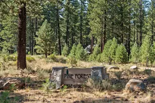 12062 Saddleback Dr, Truckee, CA 96161 - Photo 8