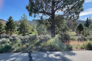 556 Longhorn Dr, Loyalton, CA 96118 - Photo 1